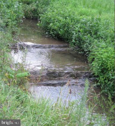 496 Frenchman Pond Road Fort Valley, VA 22652 - Photo 77 of 77 All weather stream