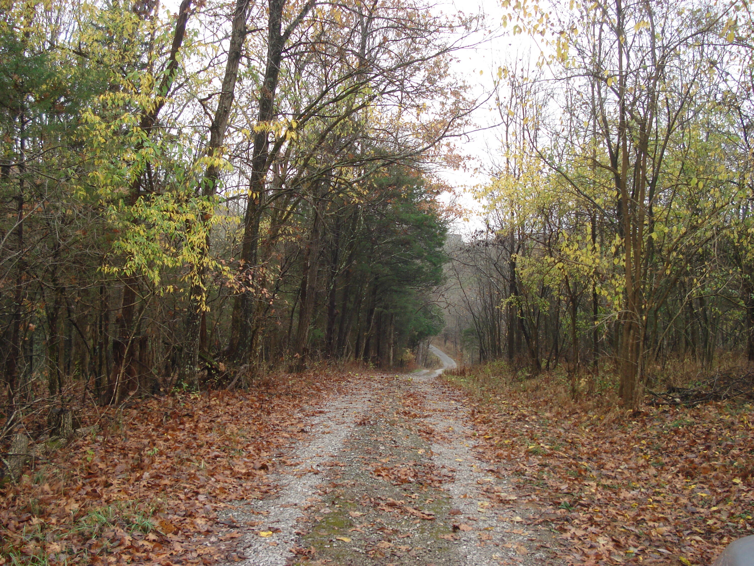 527 Old Cynthiana Road South Berry, KY 41003 - Photo 2 of 18 DSC01358