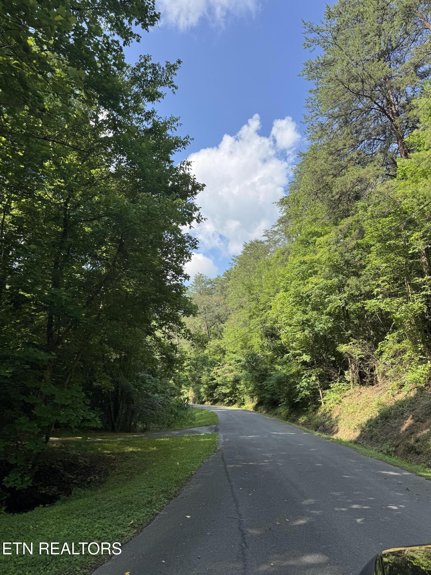 Lot 23 Walden Ridge Road Sevierville, TN 37862 - Photo 5 of 15 IMG_6031