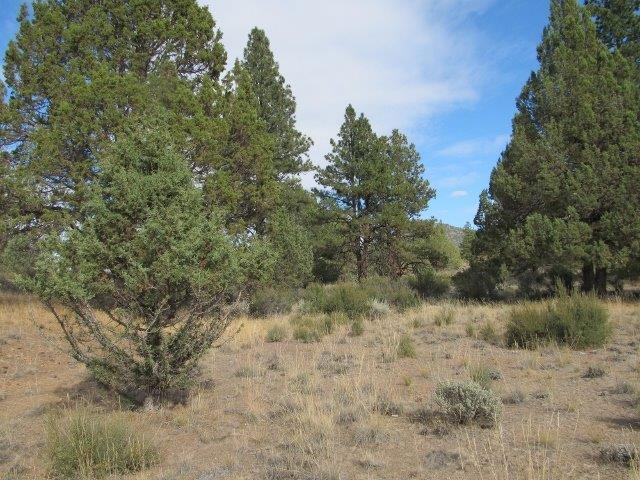 0 Deer Springs Road Beatty, OR 97621 - Photo 14 of 17 Additional Photo