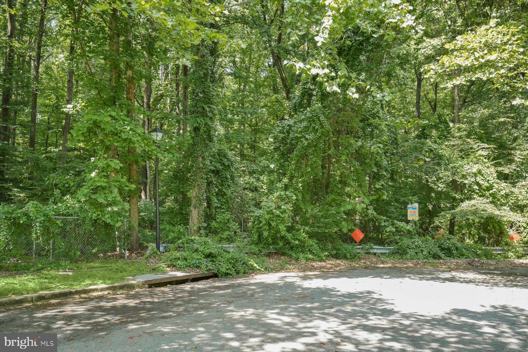 9515 Piscataway Road Clinton, MD 20735 - Photo 7 of 12 End of Salima Road