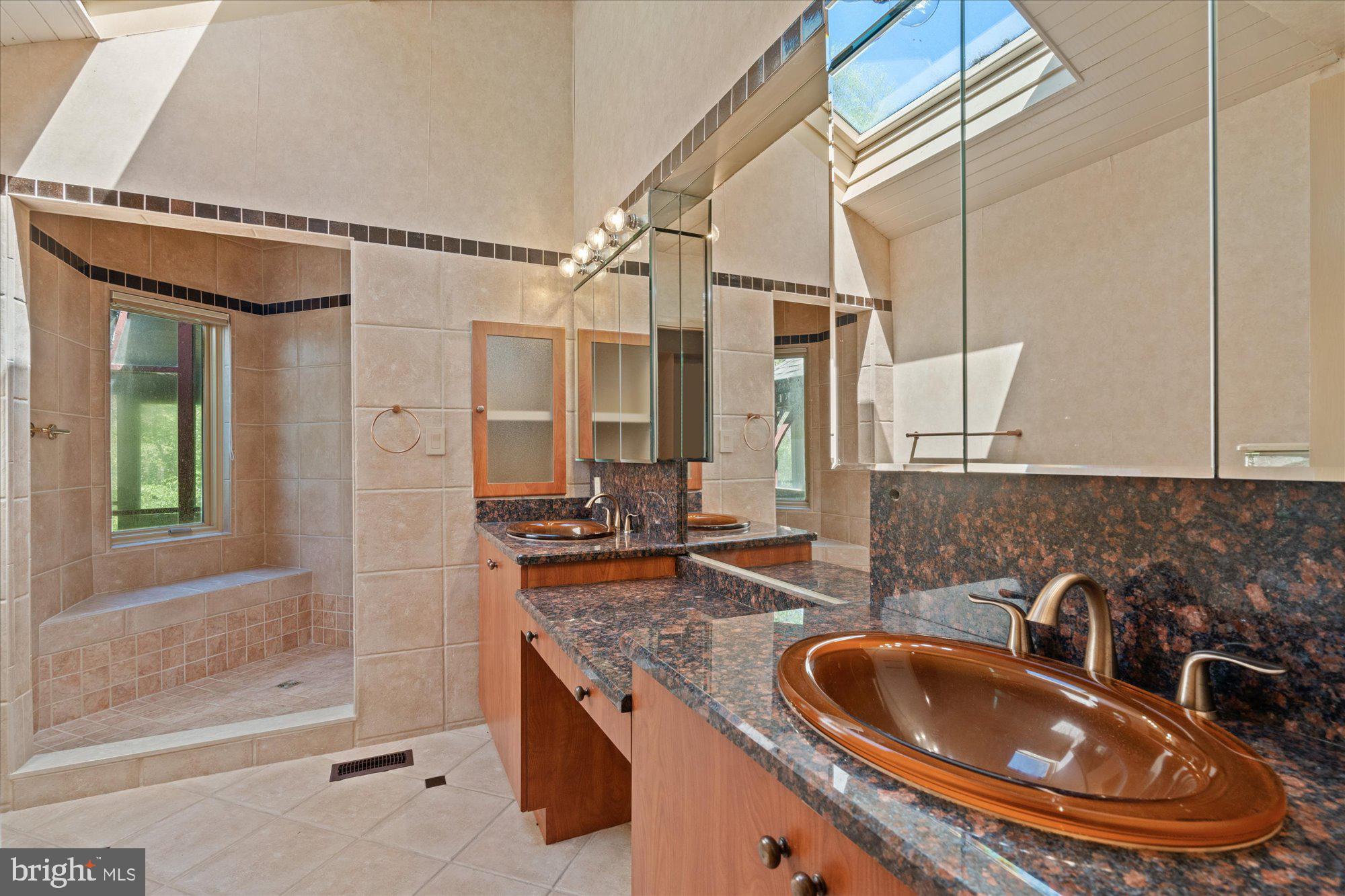 7211 Brickyard Road Potomac, MD 20854 - Photo 24 of 46 a bathroom with a sink a toilet and shower
