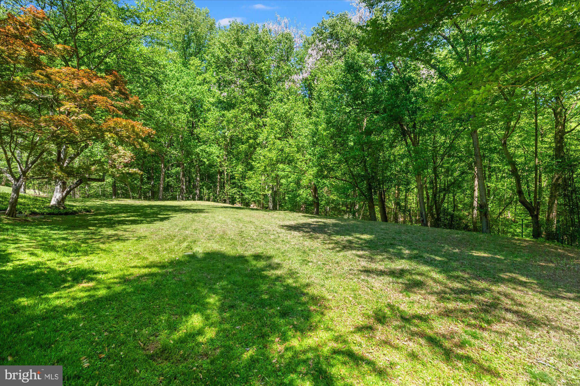 7211 Brickyard Road Potomac, MD 20854 - Photo 35 of 46 a view of outdoor space with deck and yard