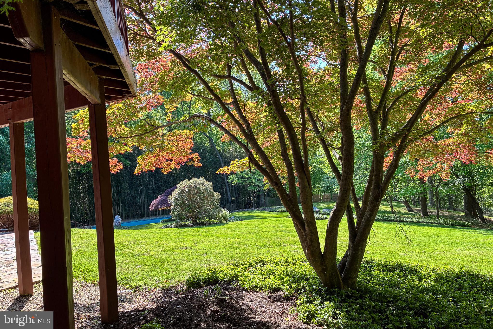 7211 Brickyard Road Potomac, MD 20854 - Photo 38 of 46 a view of a garden