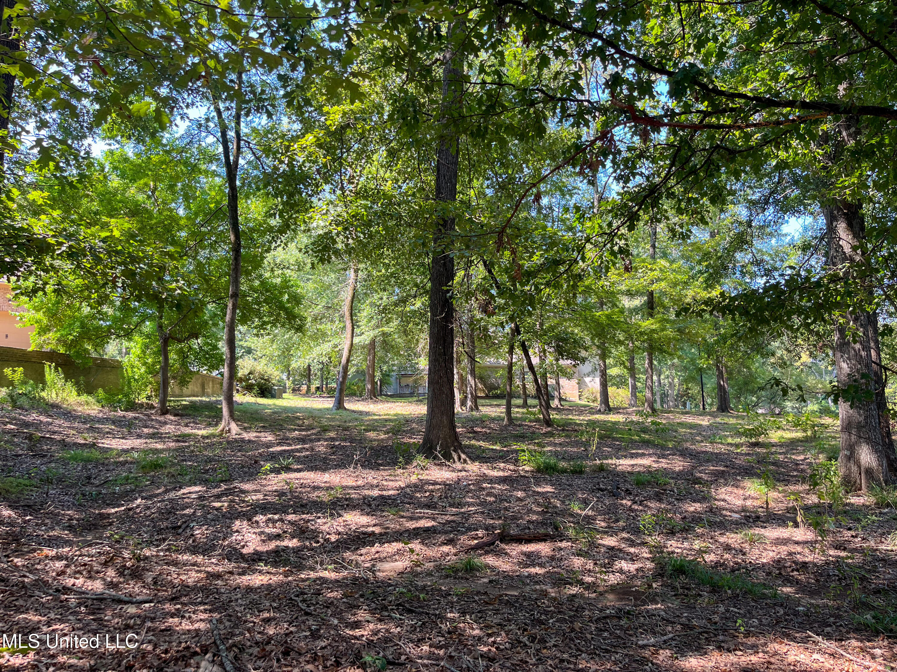 Cottesbrooke Circle Madison, MS 39110 - Photo 11 of 26 IMG_0688