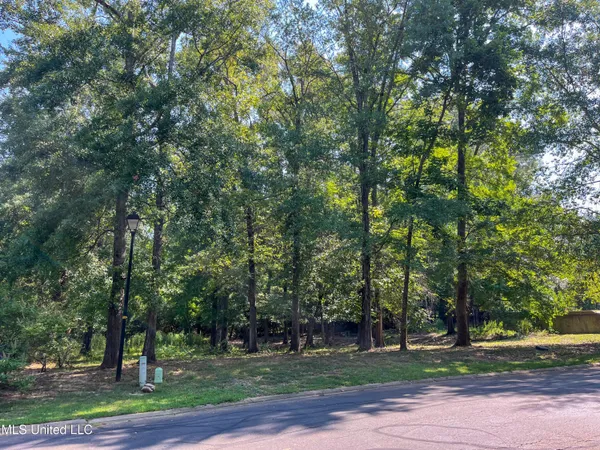 $95,000 | Cottesbrooke Circle, Madison, MS 39110