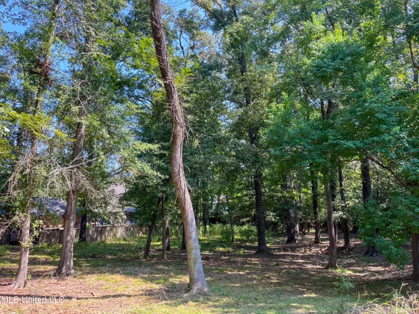 $95,000 | Cottesbrooke Circle, Madison, MS 39110