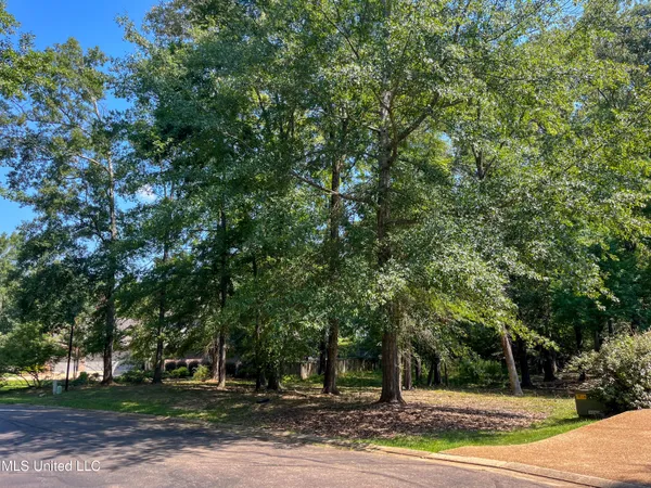 $95,000 | Cottesbrooke Circle, Madison, MS 39110