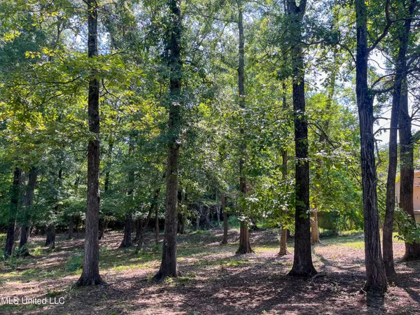 $95,000 | Cottesbrooke Circle, Madison, MS 39110