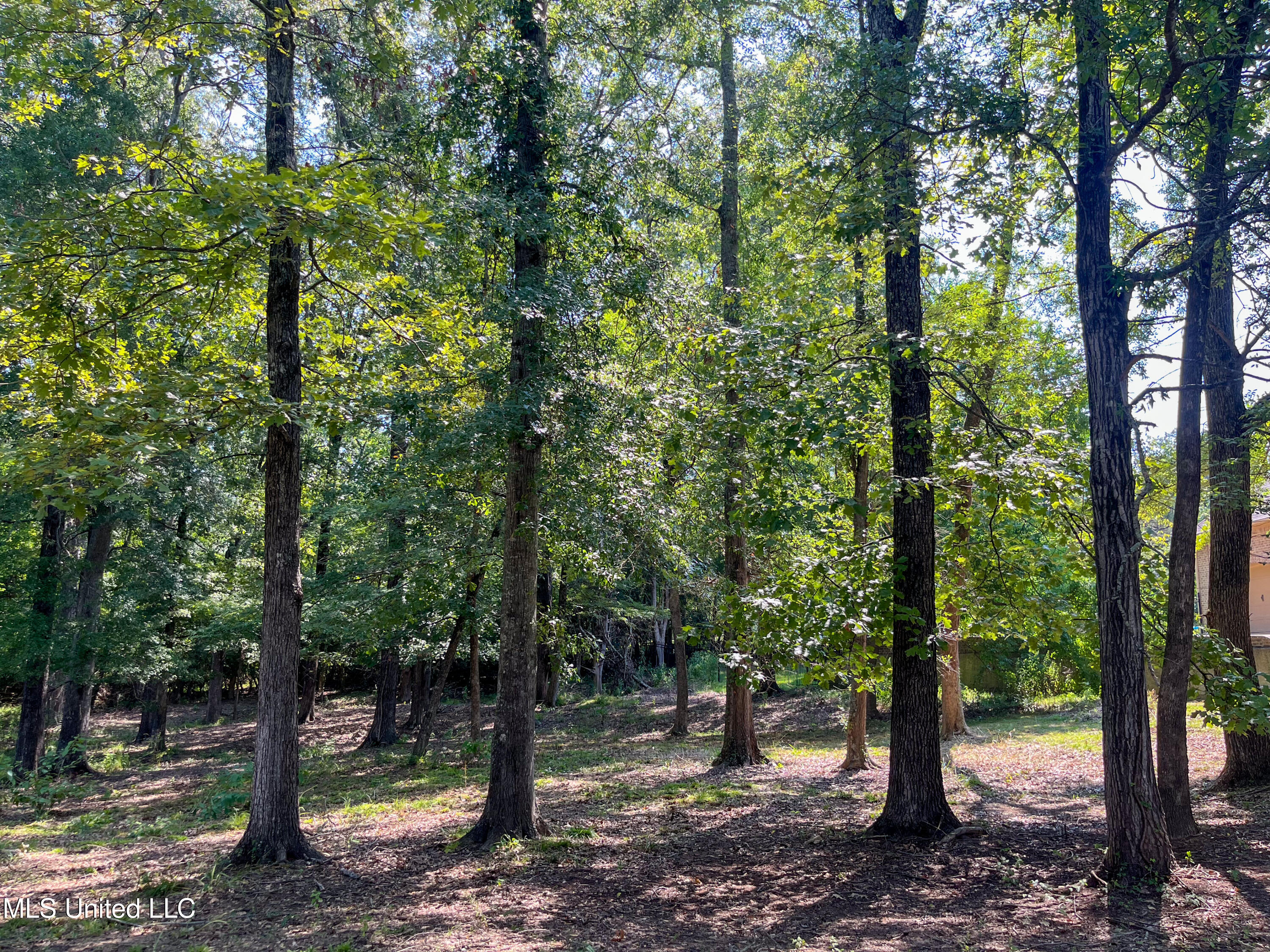 Cottesbrooke Circle Madison, MS 39110 - Photo 2 of 26 IMG_0684
