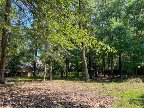 $95,000 | Cottesbrooke Circle, Madison, MS 39110