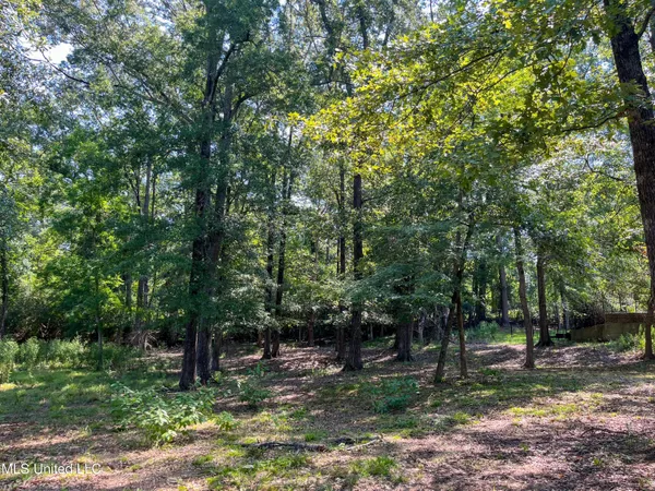 $95,000 | Cottesbrooke Circle, Madison, MS 39110