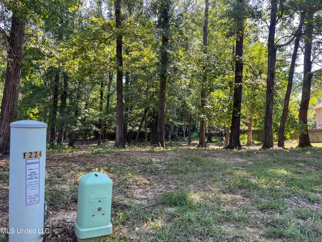 $95,000 | Cottesbrooke Circle, Madison, MS 39110