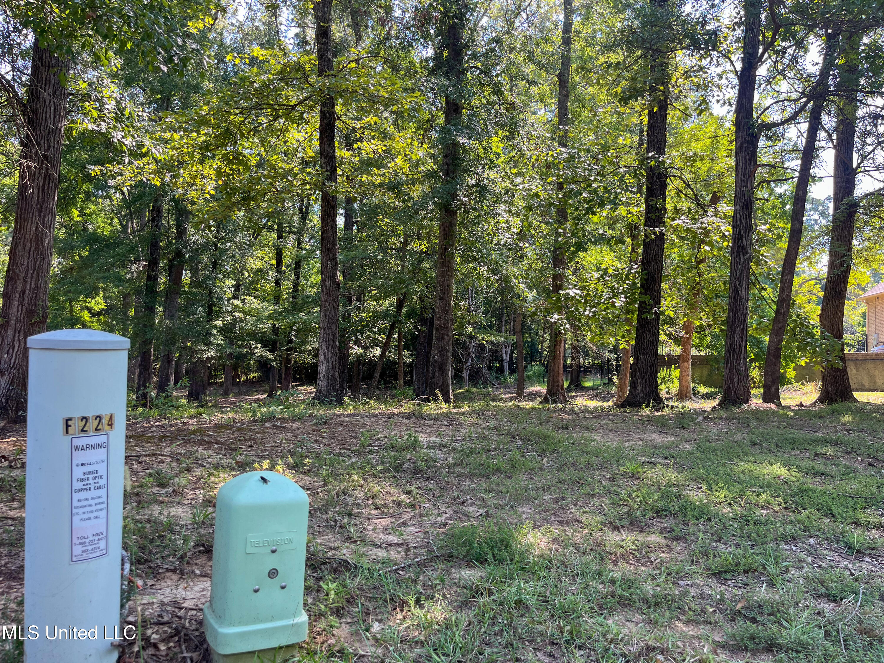 Cottesbrooke Circle Madison, MS 39110 - Photo 4 of 26 IMG_0683