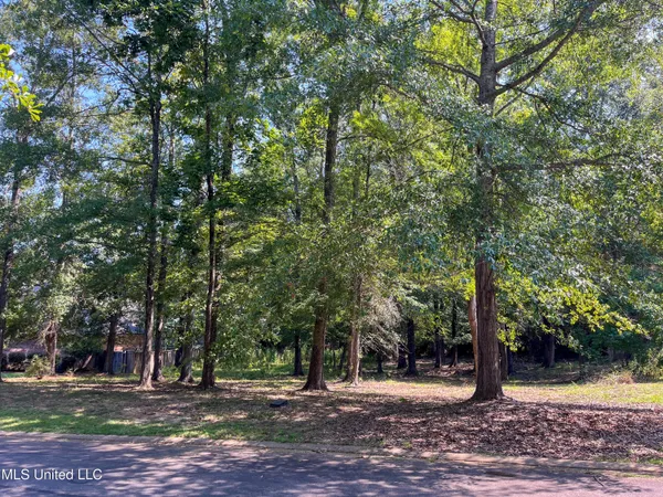 $95,000 | Cottesbrooke Circle, Madison, MS 39110