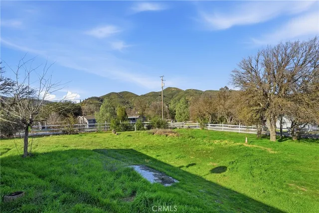 a view of a big yard with a large tree