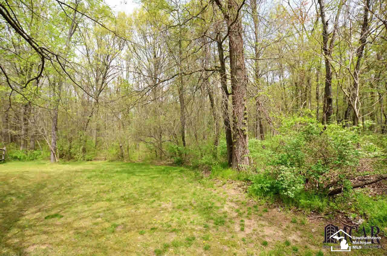 9372 Douglas Road Temperance, MI 48182 - Photo 35 of 36 Gallery Image 35