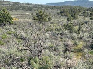 0 Council Butte, Unit LOT 8 Beatty, OR 97621 - Photo 2 of 4 Lot 8 2