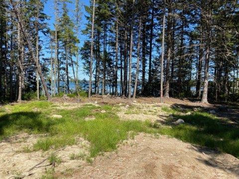 715 Paul Bunyan Road Corea, ME 04624 - Photo 2 of 14 IMG_20250827_163357 (4)