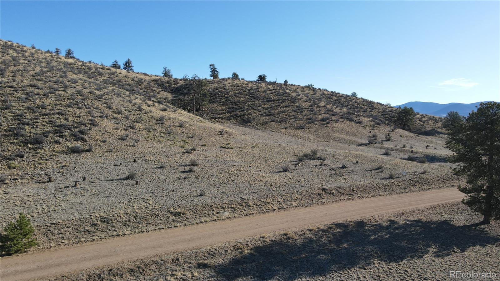 1403 Jefferson Road Hartsel, CO 80449 - Photo 18 of 20