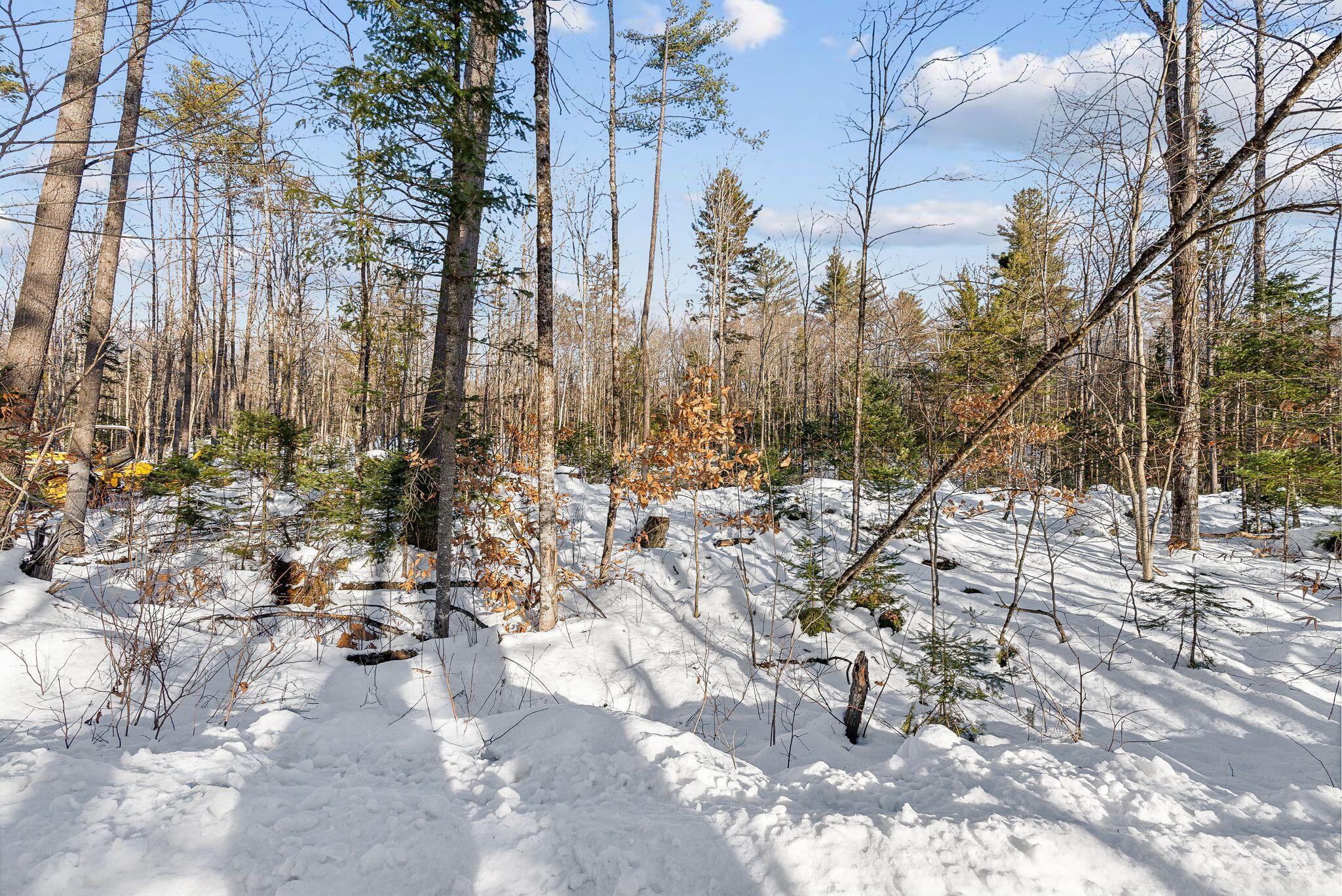 Lot 045 Sawyer Notch Road Andover, ME 04216 - Photo 12 of 36 DSC07561