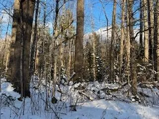 $72,900 | Lot 045 Sawyer Notch Road, Andover, ME 04216