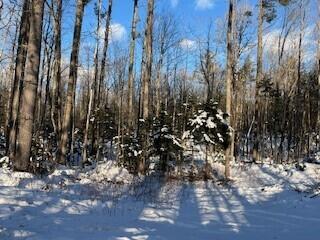 Lot 045 Sawyer Notch Road Andover, ME 04216 - Photo 17 of 36 SNR 4