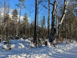$72,900 | Lot 045 Sawyer Notch Road, Andover, ME 04216