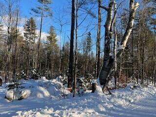 Lot 045 Sawyer Notch Road Andover, ME 04216 - Photo 18 of 36 SNR 6