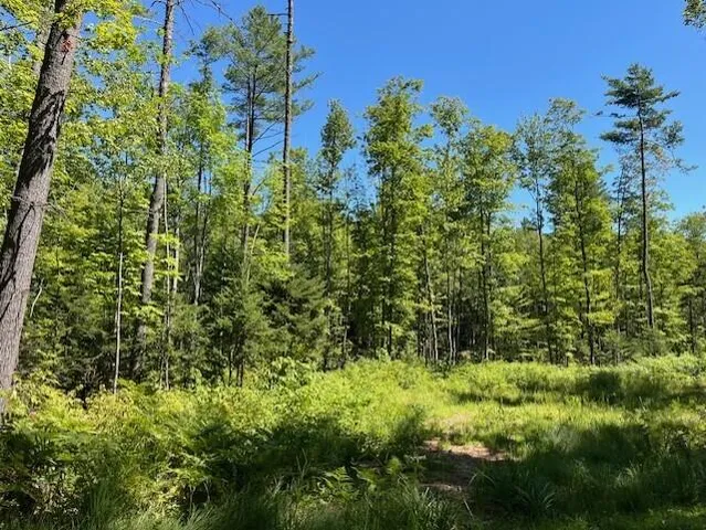$72,900 | Lot 045 Sawyer Notch Road, Andover, ME 04216