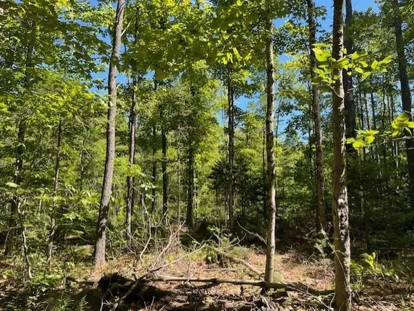 $72,900 | Lot 045 Sawyer Notch Road, Andover, ME 04216