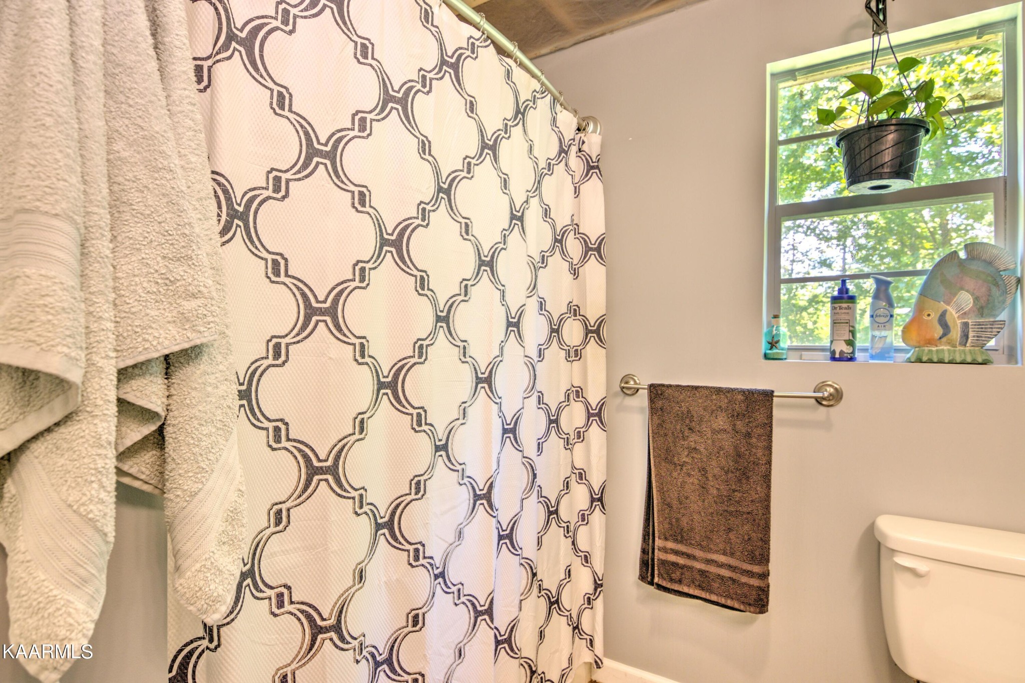 1311 Belltown Road Tellico Plains, TN 37385 - Photo 16 of 58 a bathroom with a toilet and a shower curtain