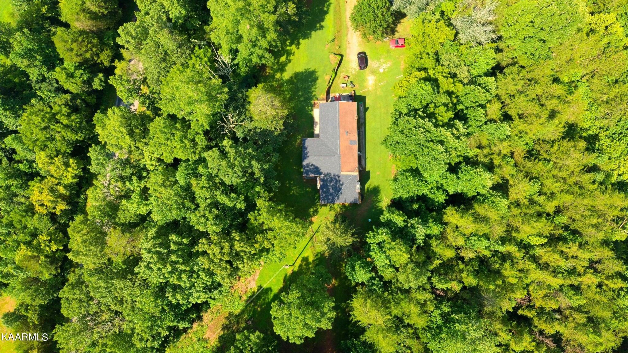 1311 Belltown Road Tellico Plains, TN 37385 - Photo 30 of 58 a yellow building with trees in the background