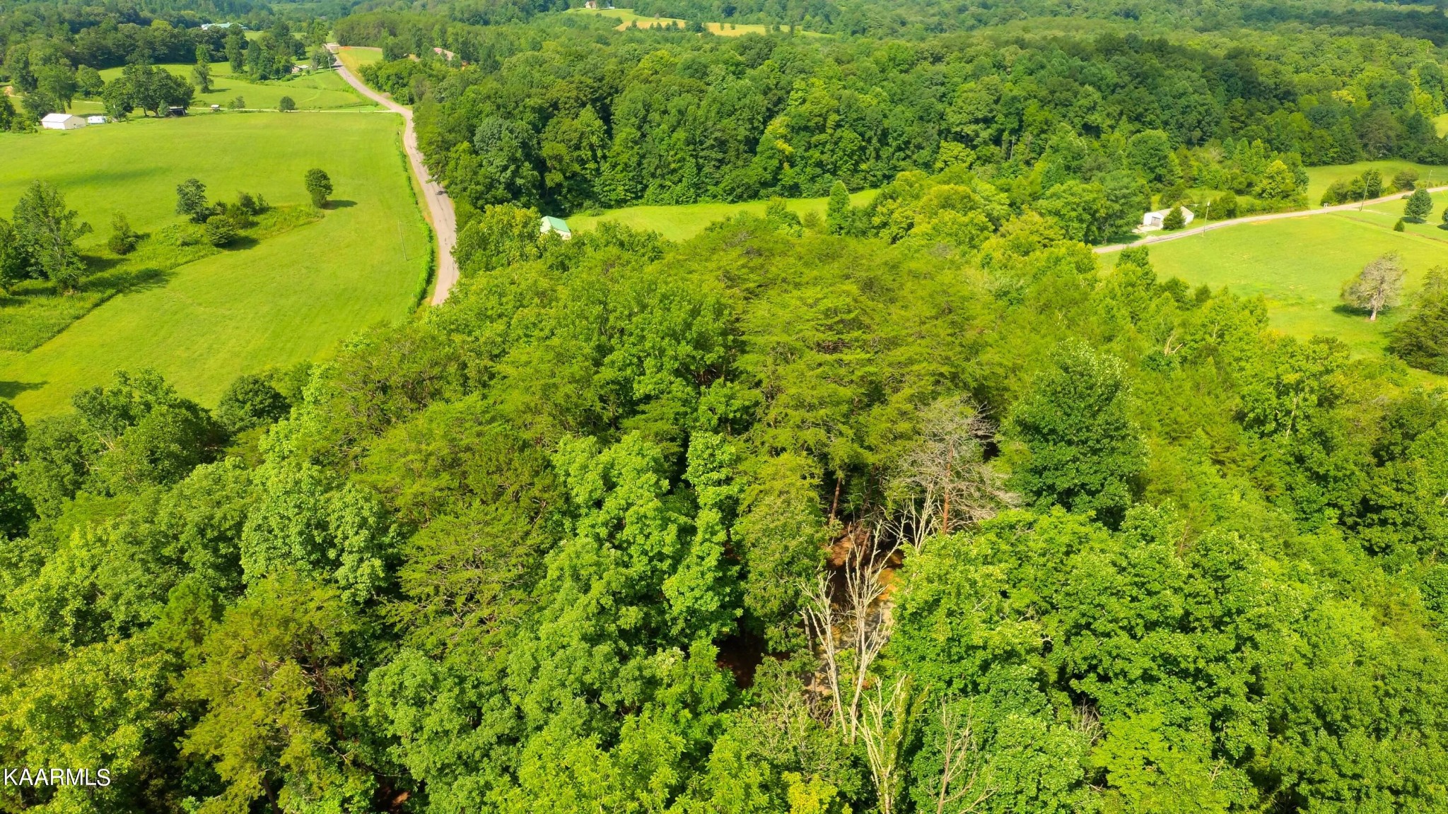 1311 Belltown Road Tellico Plains, TN 37385 - Photo 33 of 58 a view of a large garden with large trees