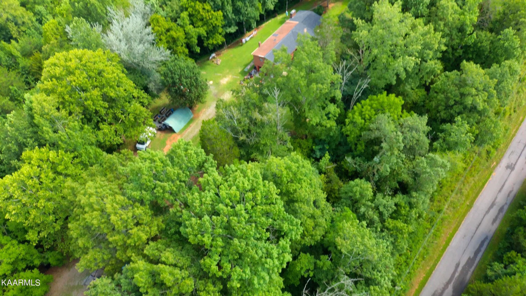 1311 Belltown Road Tellico Plains, TN 37385 - Photo 35 of 58 a view of a lush green forest with large trees