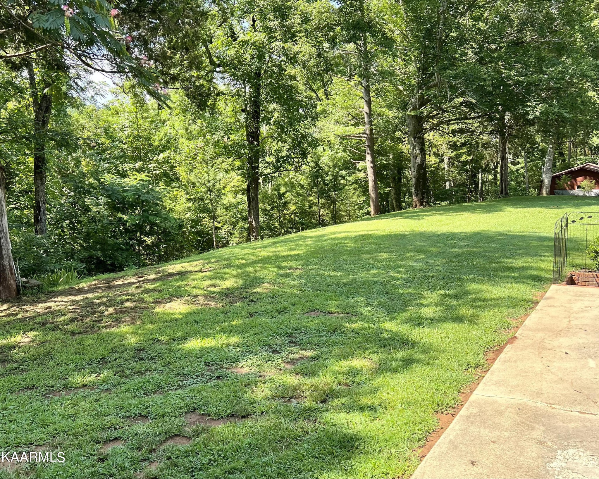 1311 Belltown Road Tellico Plains, TN 37385 - Photo 41 of 58 a view of a yard with a trees