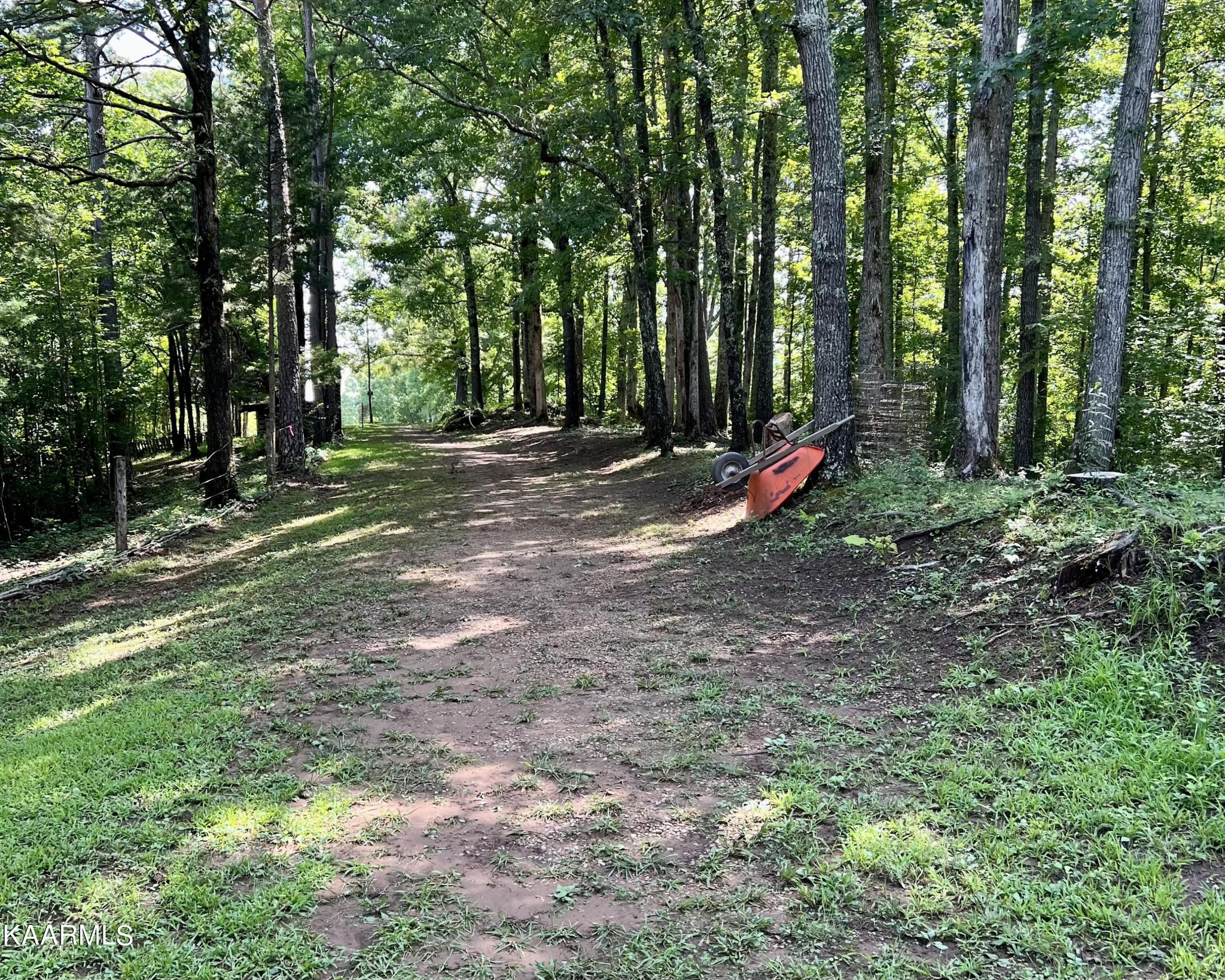 1311 Belltown Road Tellico Plains, TN 37385 - Photo 50 of 58 a view of outdoor space with trees