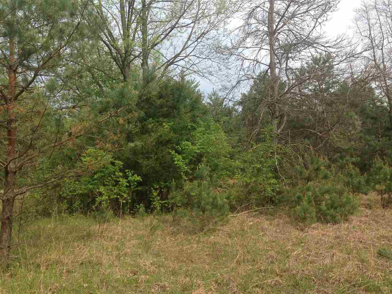 0 West County Line Road Plymouth, IN 46563 - Photo 3 of 16 Gallery Image 3
