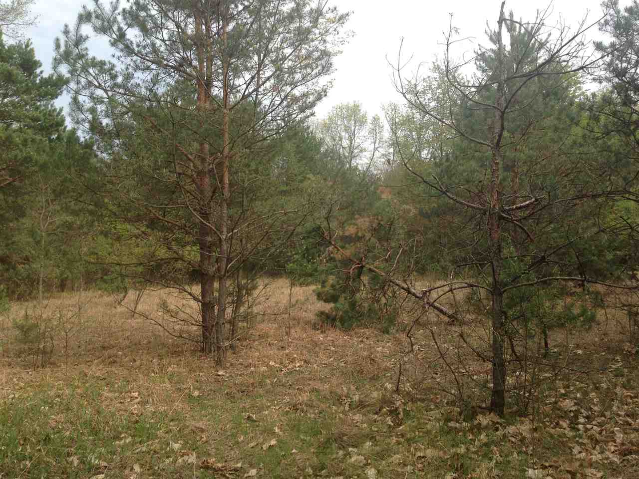 0 West County Line Road Plymouth, IN 46563 - Photo 5 of 16 Gallery Image 5