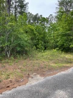0 Pitts Road Chipley, FL 32428 - Photo 11 of 19