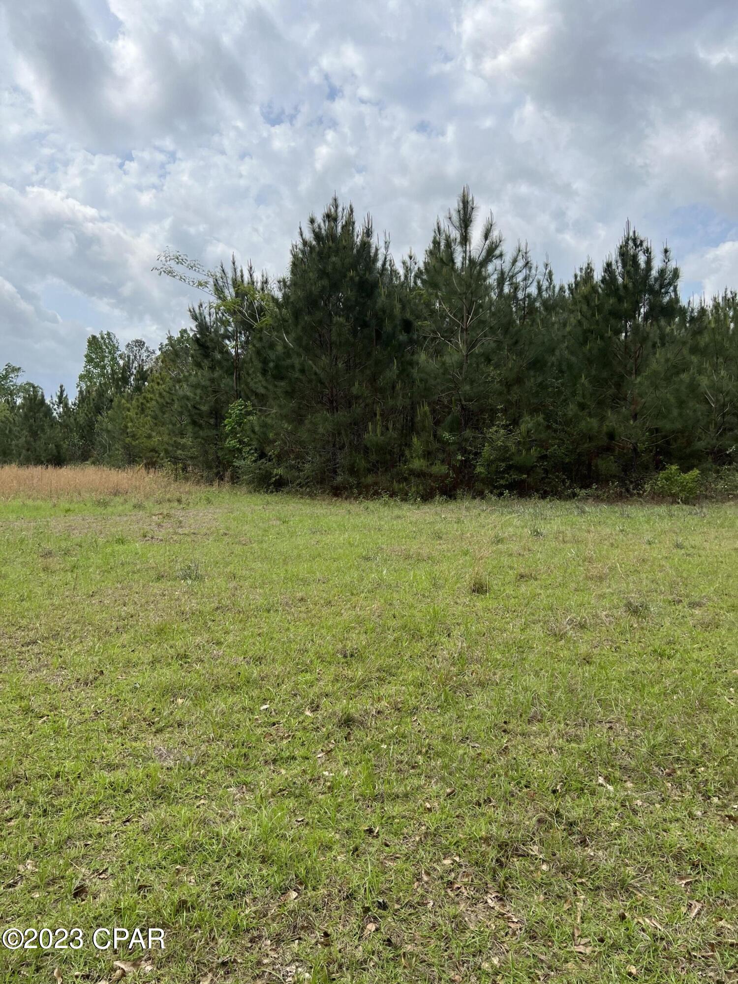 0 Pitts Road Chipley, FL 32428 - Photo 12 of 19