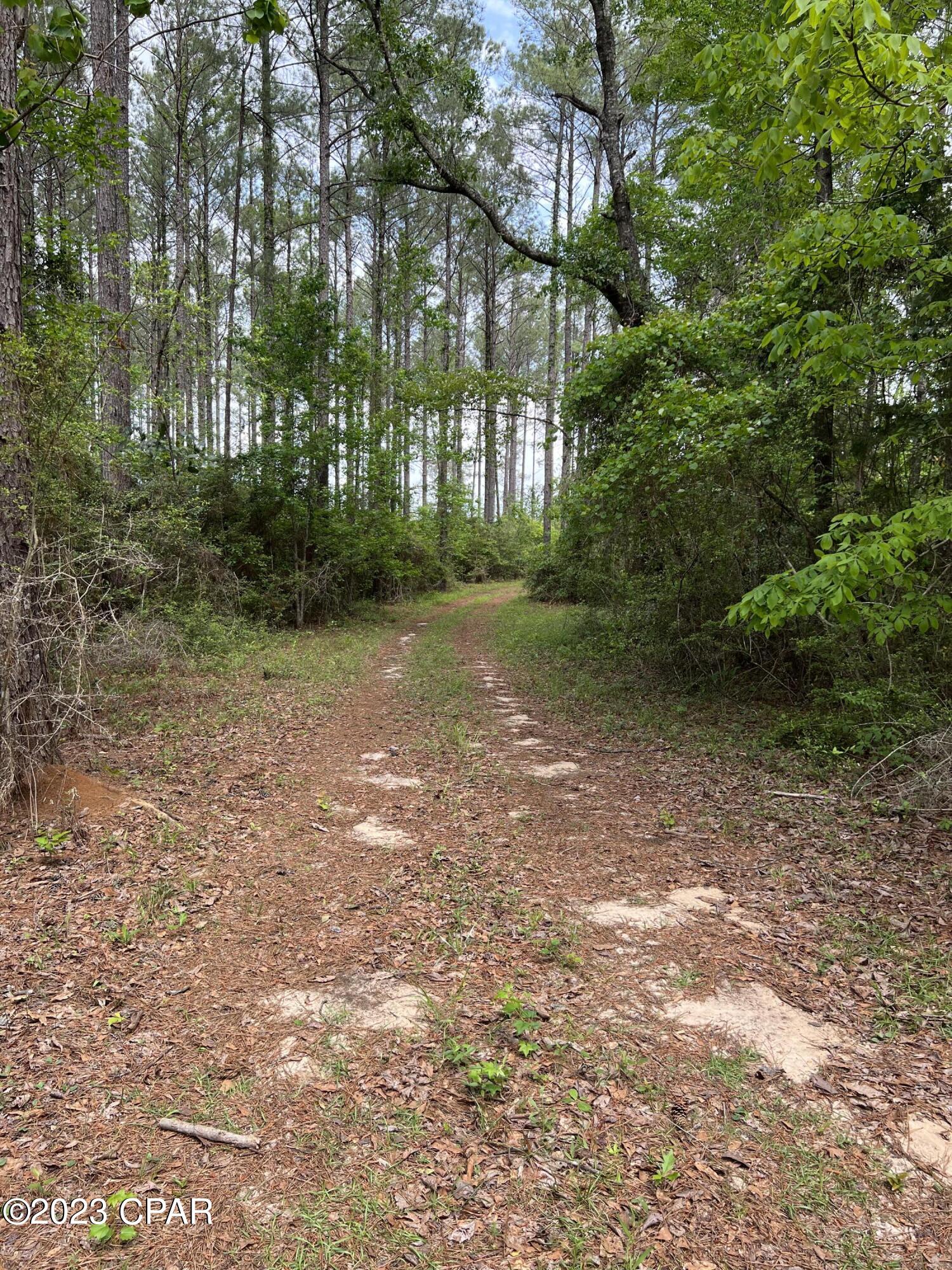 0 Pitts Road Chipley, FL 32428 - Photo 13 of 19