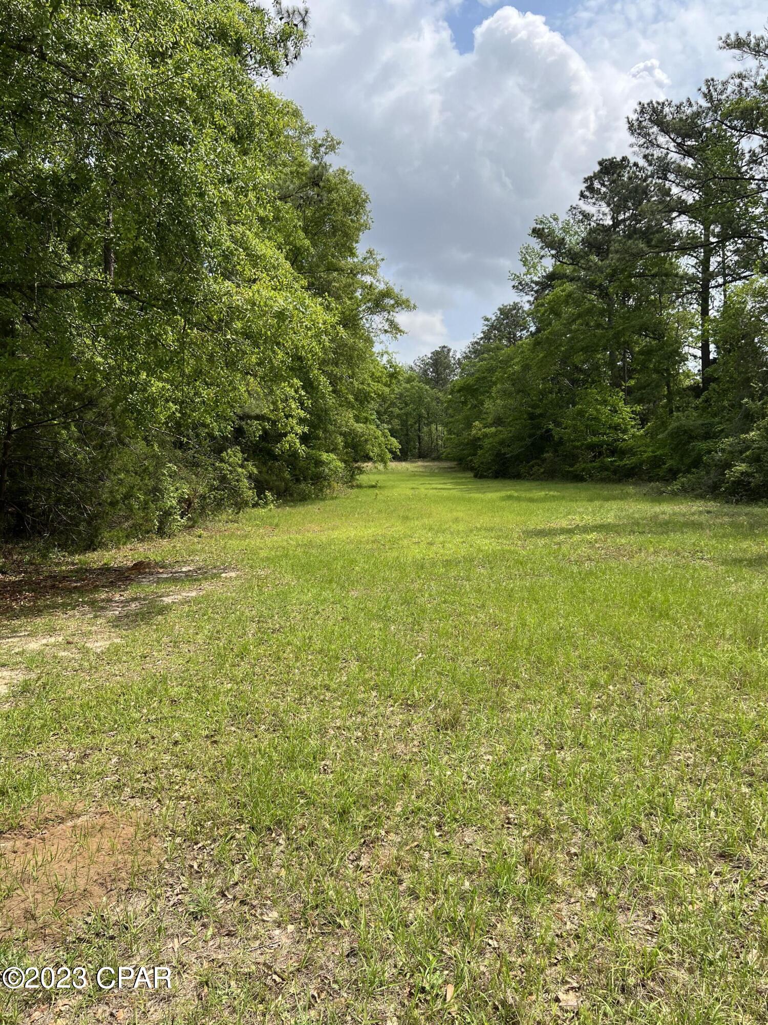 0 Pitts Road Chipley, FL 32428 - Photo 14 of 19