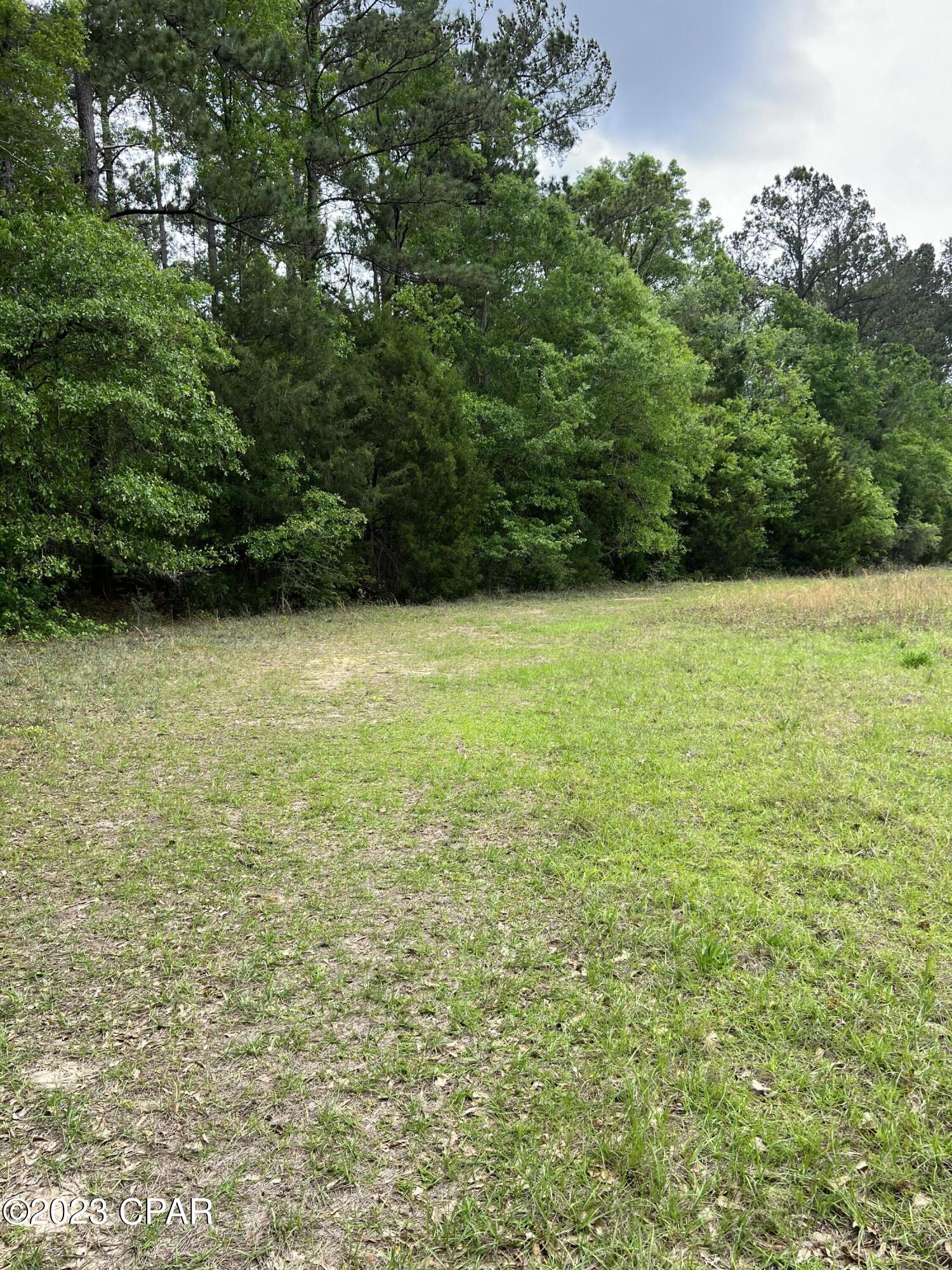 0 Pitts Road Chipley, FL 32428 - Photo 15 of 19