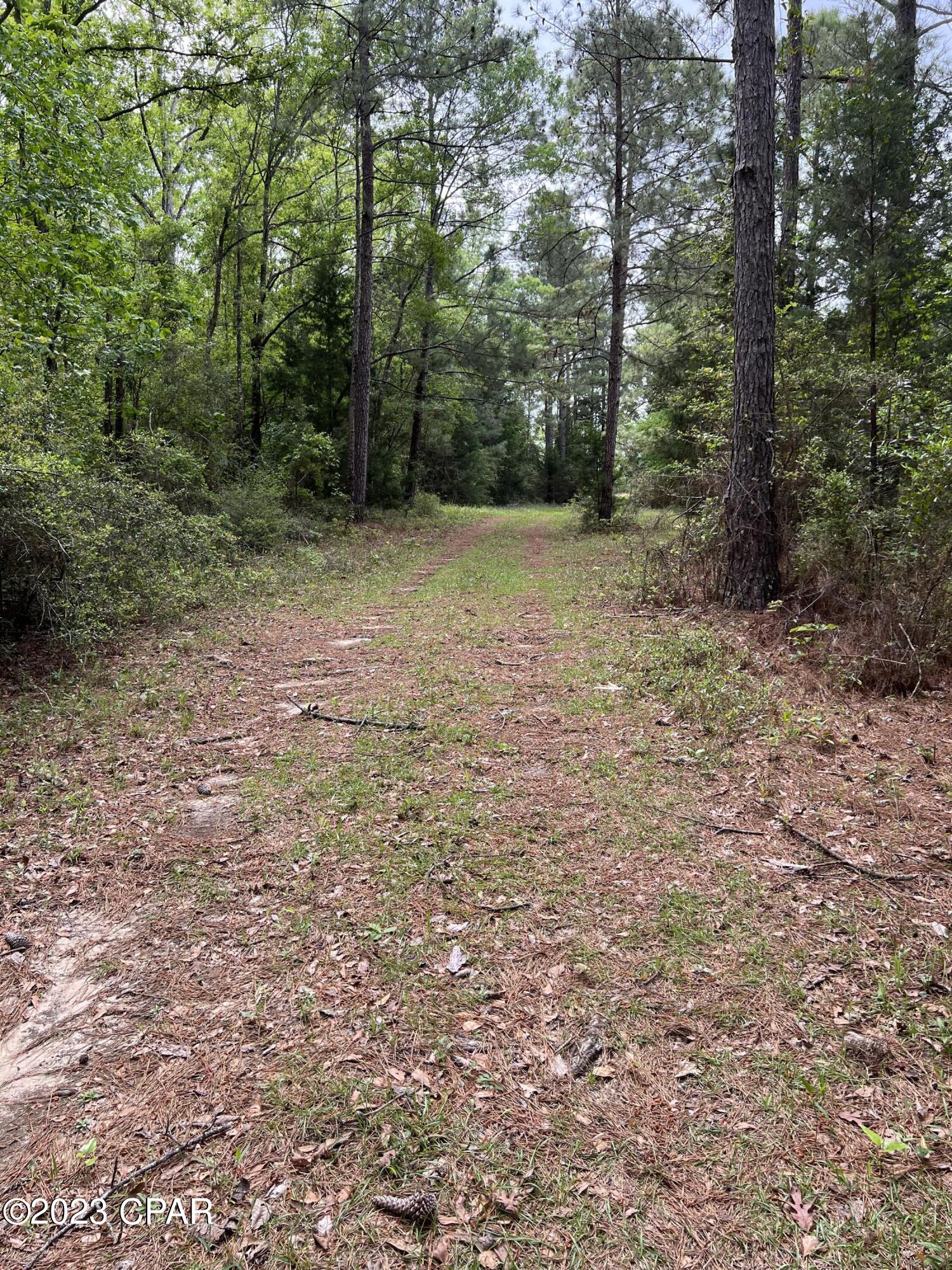 0 Pitts Road Chipley, FL 32428 - Photo 16 of 19