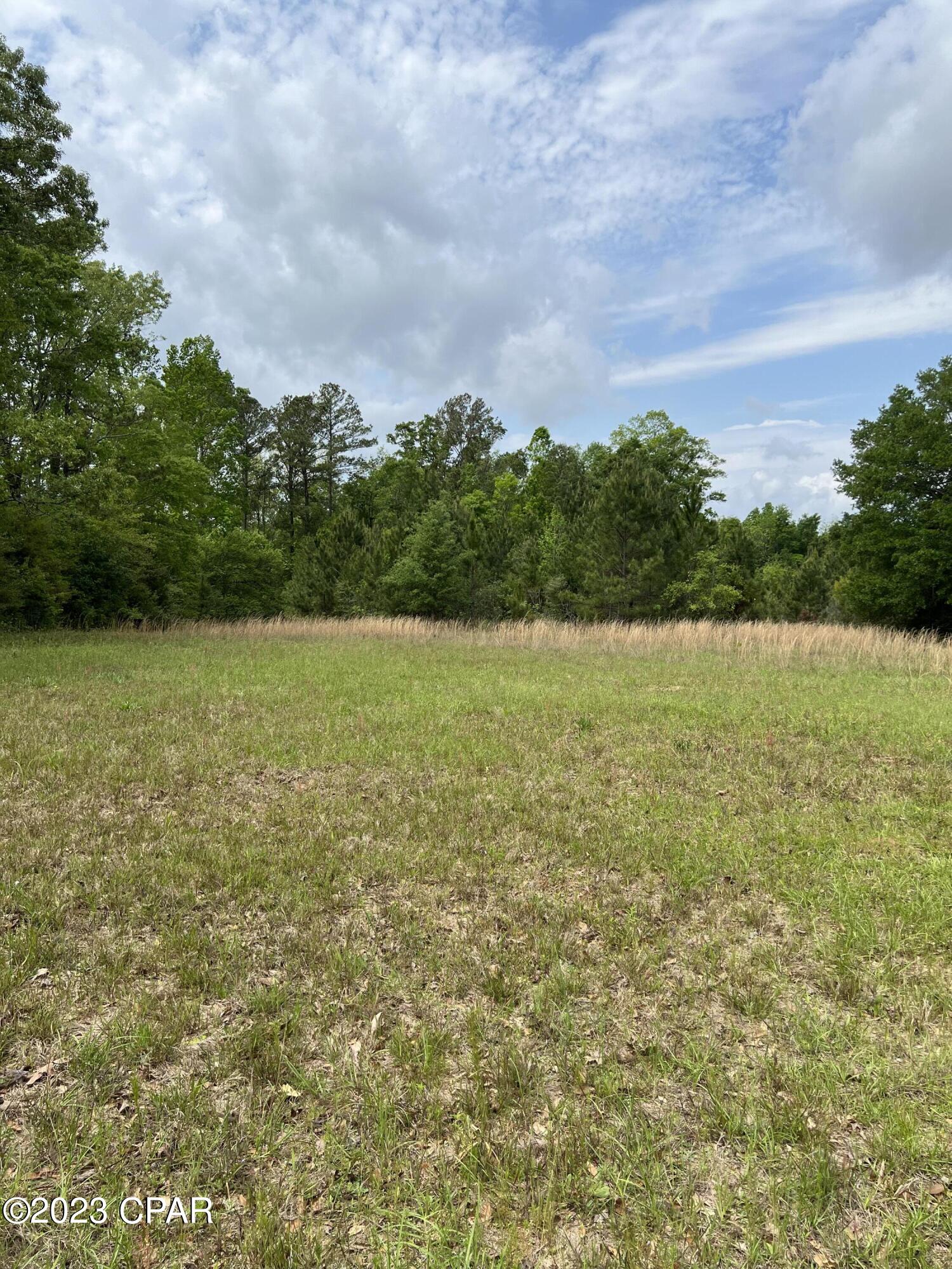 0 Pitts Road Chipley, FL 32428 - Photo 17 of 19
