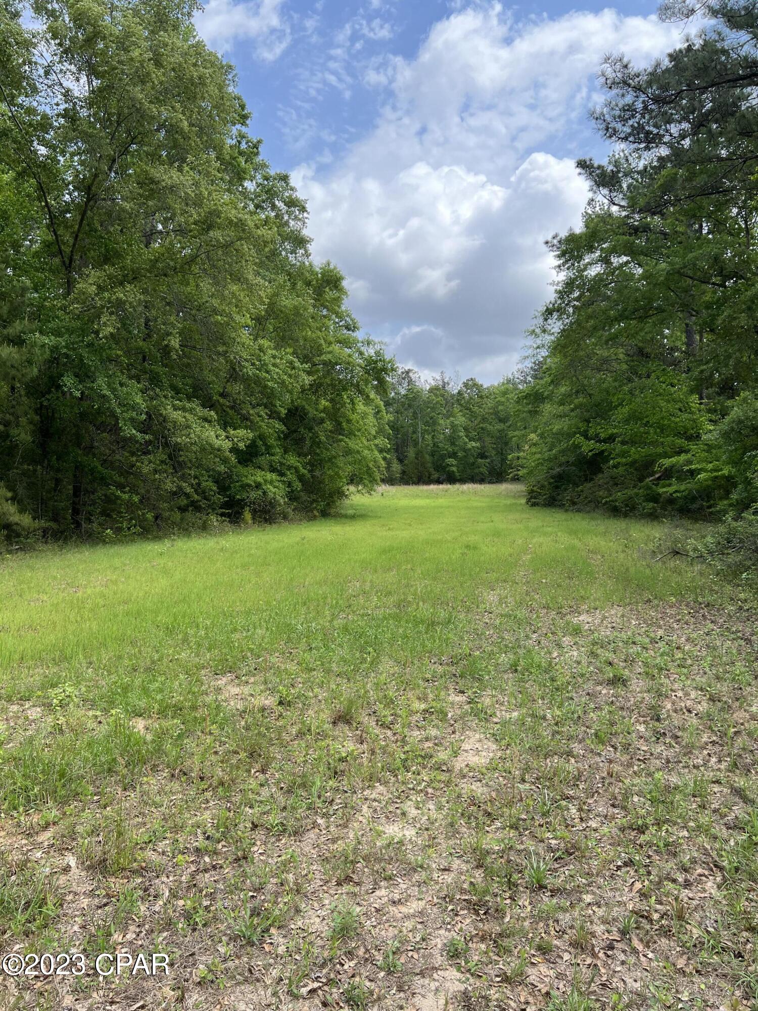 0 Pitts Road Chipley, FL 32428 - Photo 18 of 19