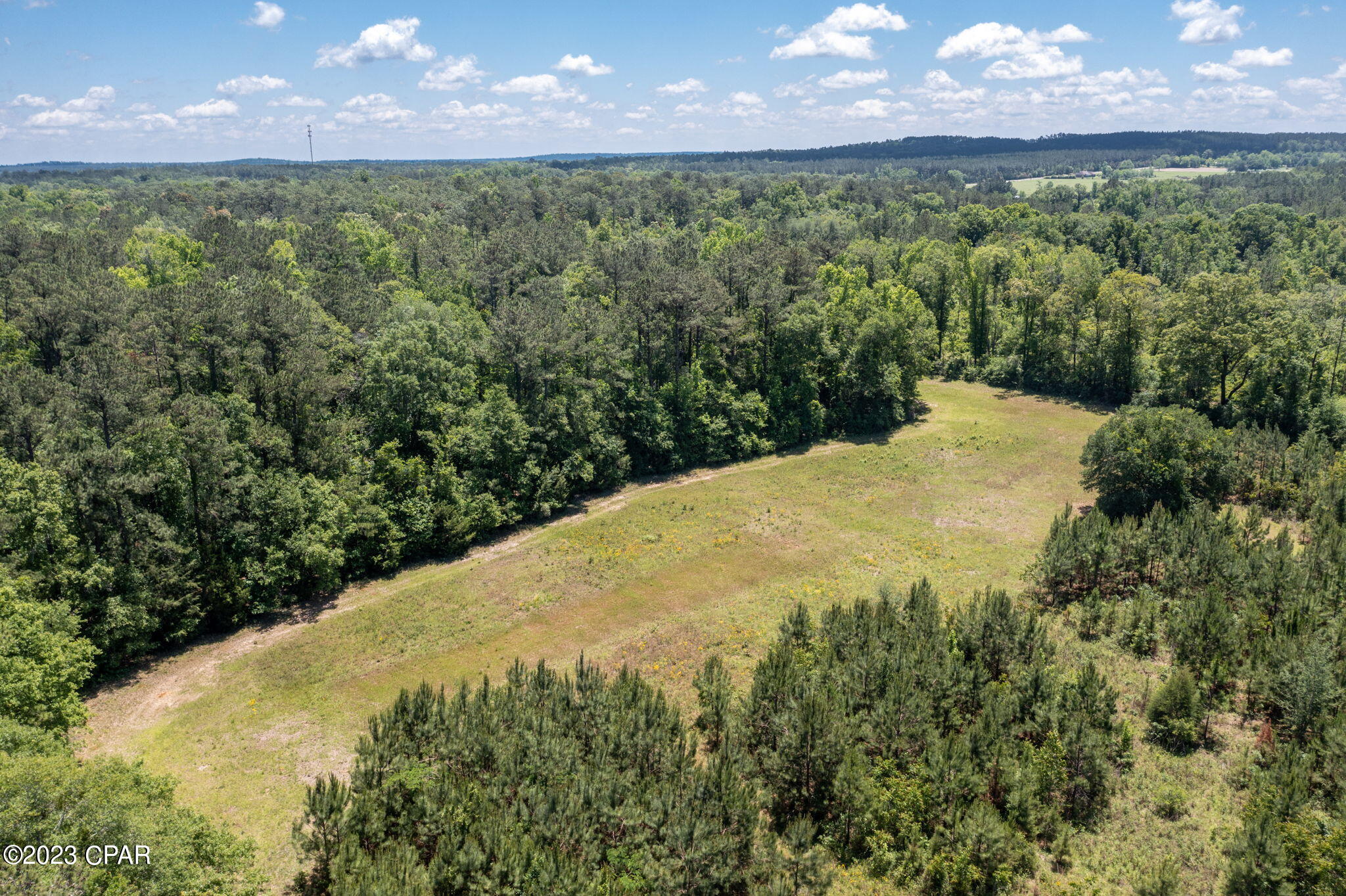 0 Pitts Road Chipley, FL 32428 - Photo 5 of 19