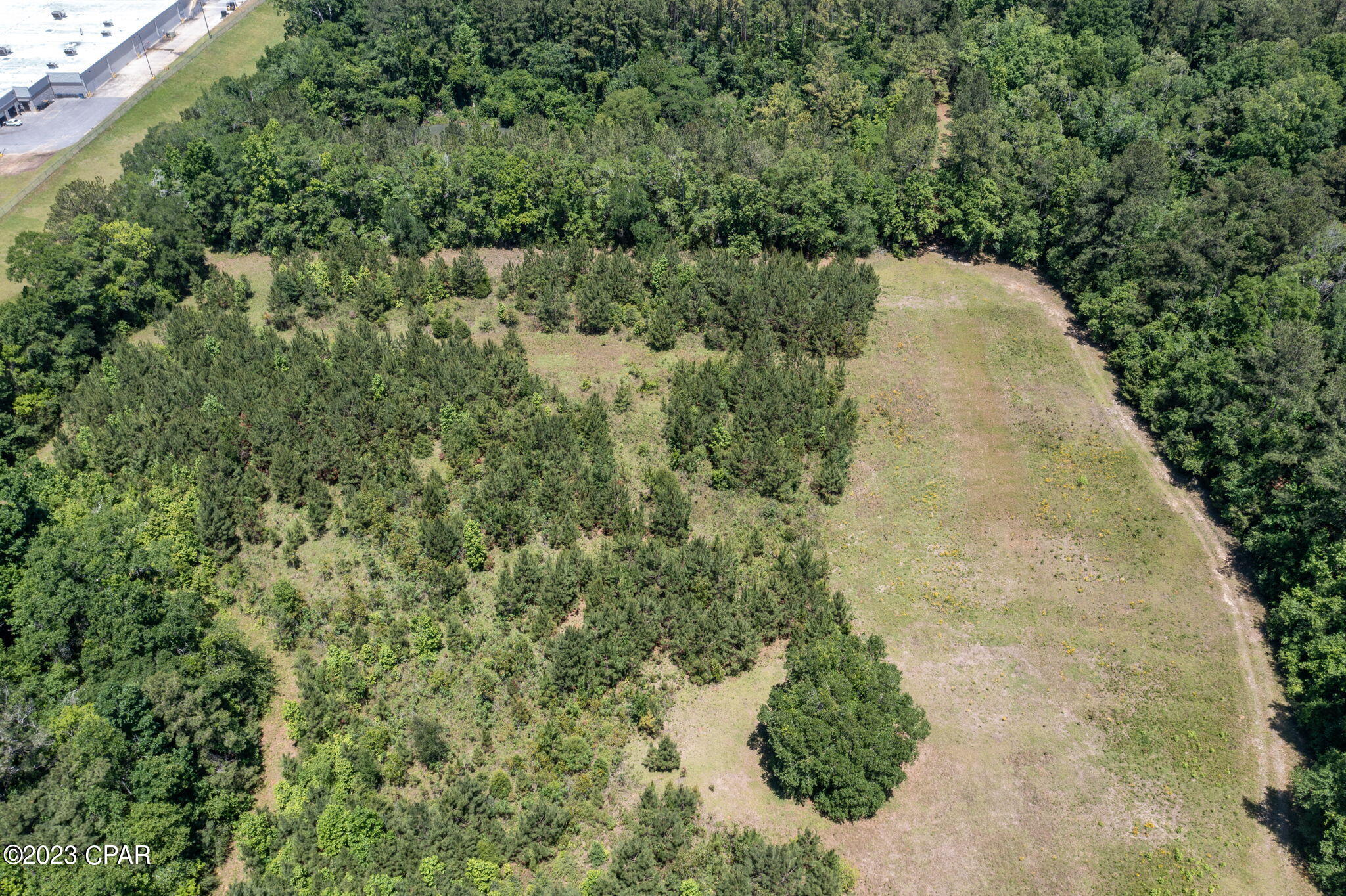 0 Pitts Road Chipley, FL 32428 - Photo 6 of 19