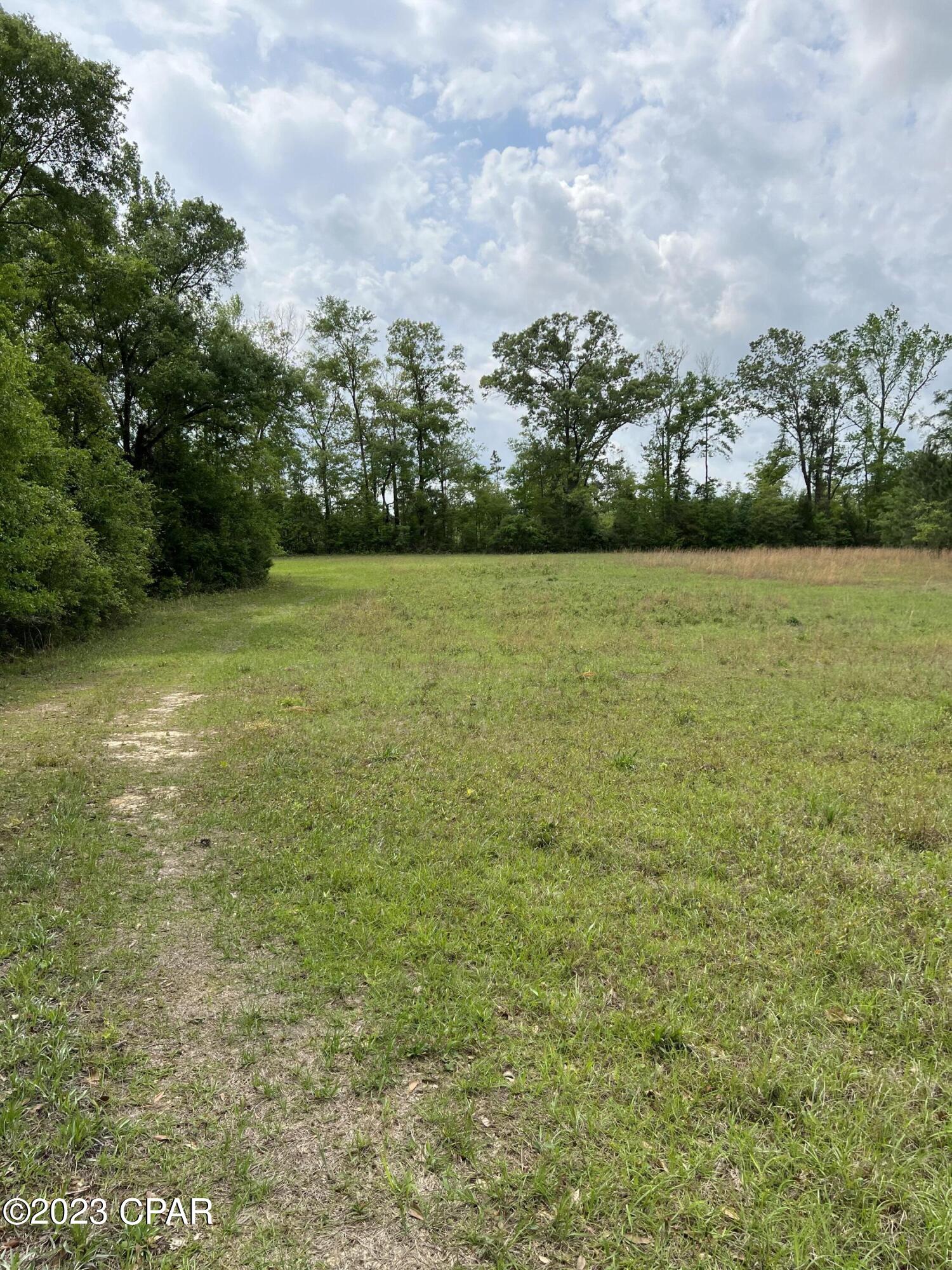 0 Pitts Road Chipley, FL 32428 - Photo 7 of 19